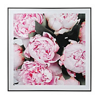 The Art Group Peonies Pink, white, black Canvas art (H)8cm x (W)8cm