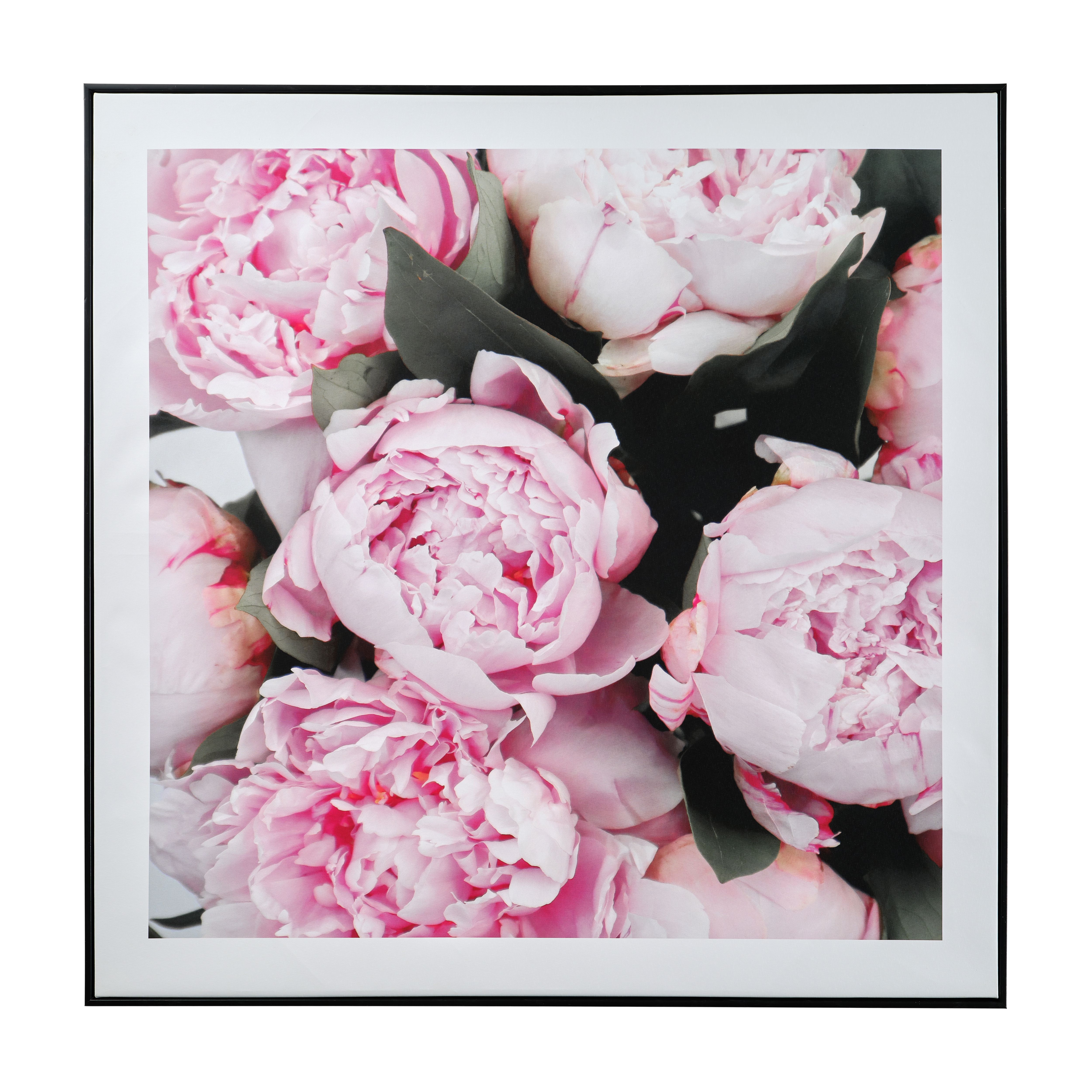 The Art Group Peonies Pink, white, black Canvas art (H)8cm x (W)8cm ...