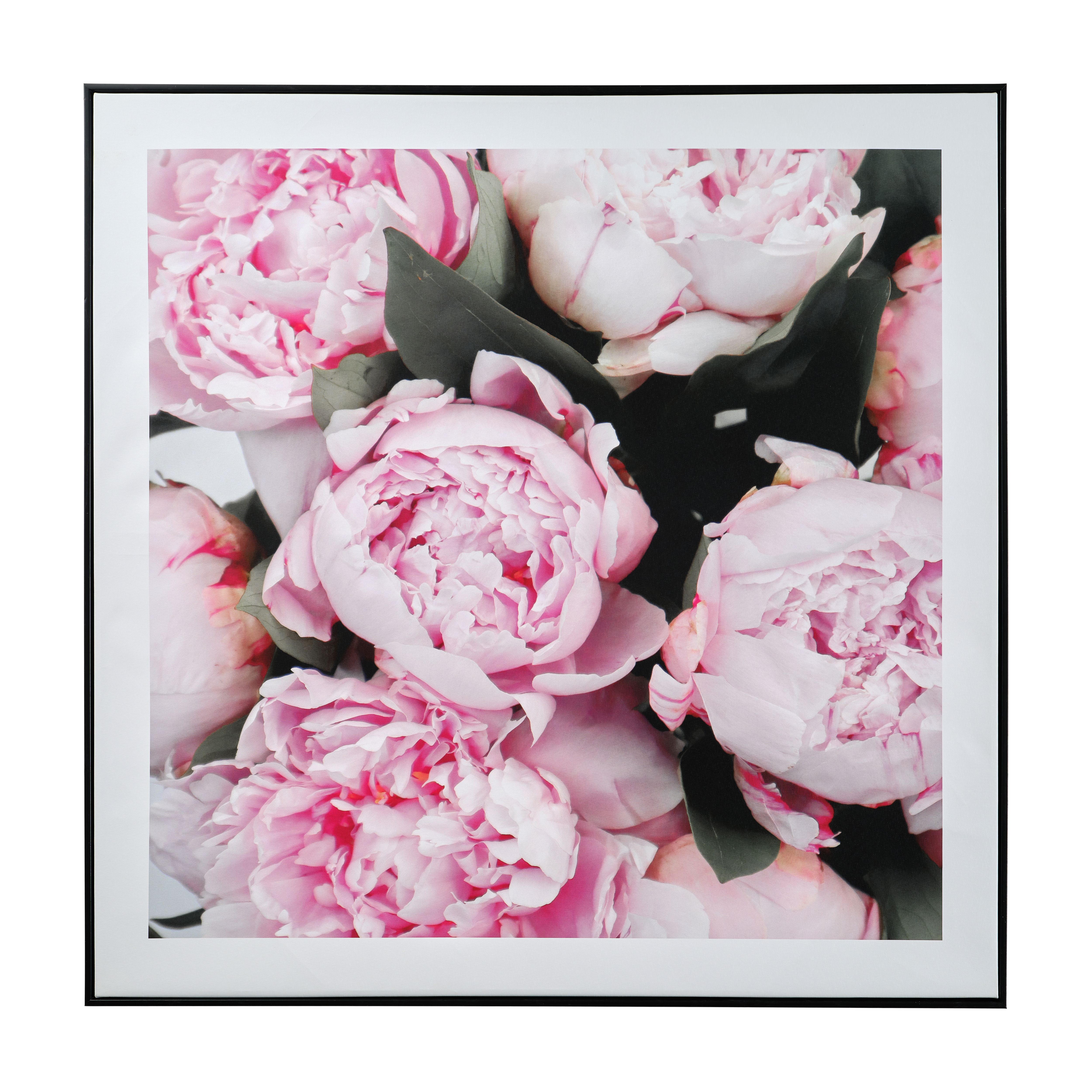 The Art Group Peonies Pink white black Canvas art H 8cm x W