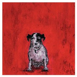 The Art Group Small dog Red Canvas art (H)400mm (W)400mm
