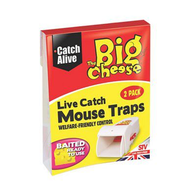 The Big Cheese Mouse trap, Pack of 2 (H)156mm (W)117mm