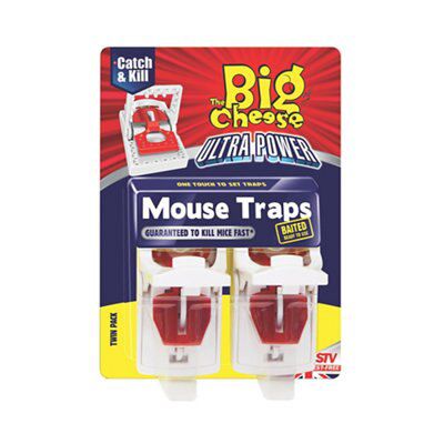 The Big Cheese Mouse trap, Pack of 2 (H)191mm (W)137mm