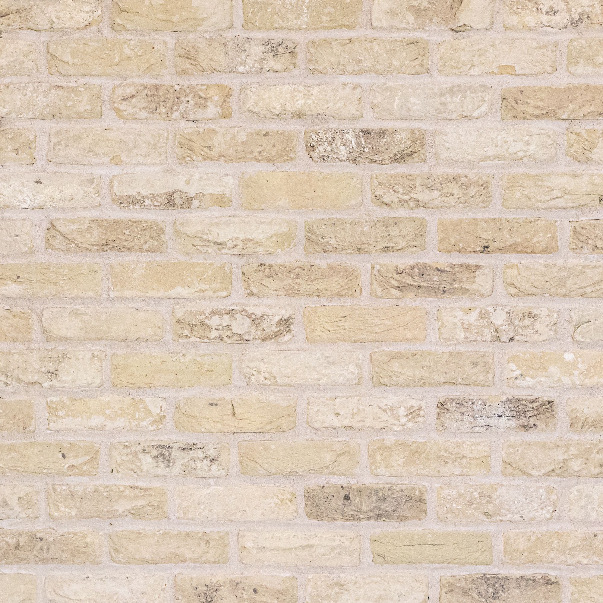 The Brick Tile Company Reclaimed Tumbled Cream Brick slip (L)215mm (W)65mm (T)22mm Pack of 35