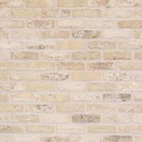 The Brick Tile Company Reclaimed Tumbled Cream Brick slip (L)215mm (W)65mm (T)22mm Pack of 35