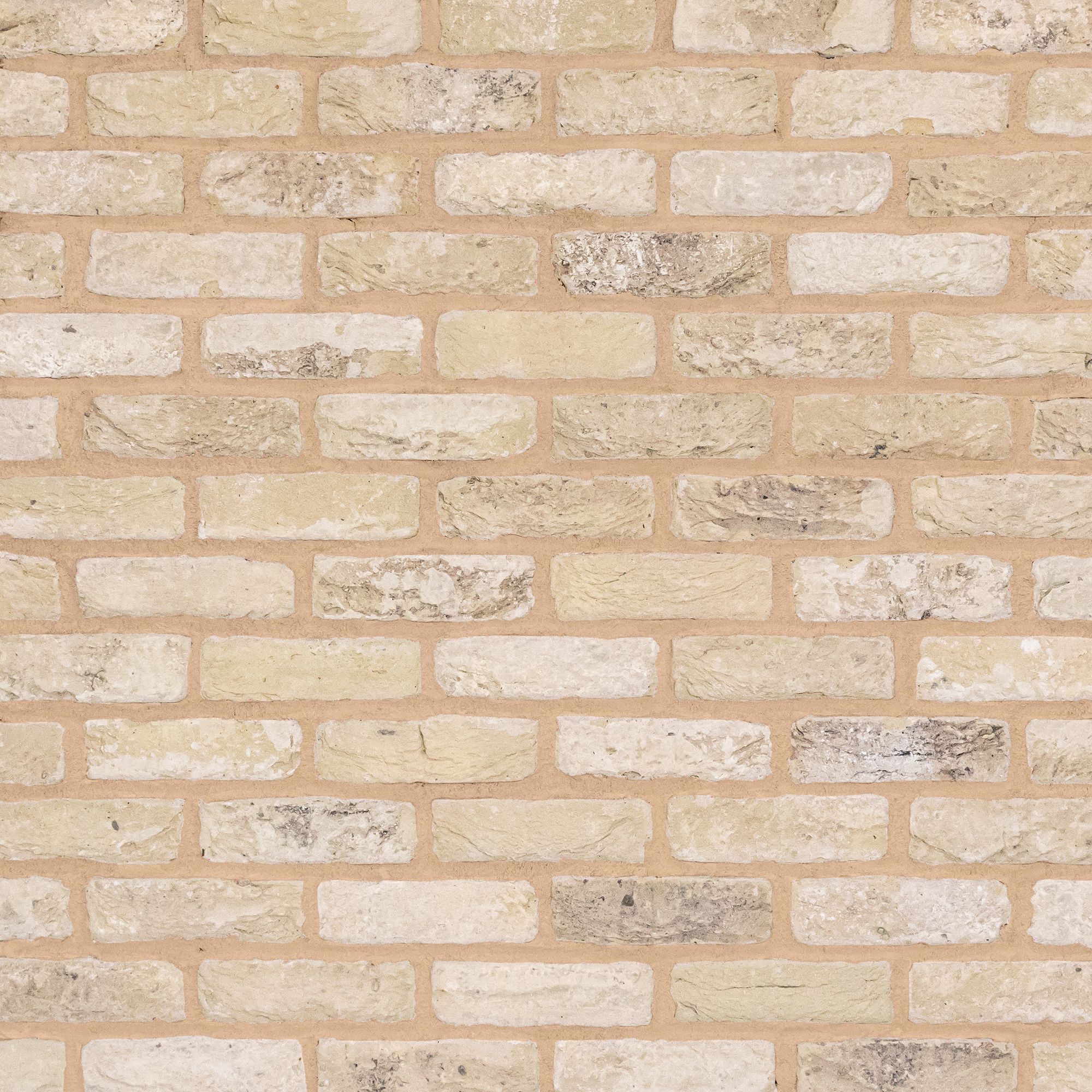 The Brick Tile Company Reclaimed Tumbled Cream Brick slip (L)215mm (W)65mm (T)22mm Pack of 35