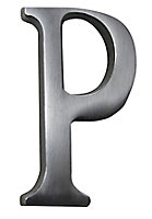 The House Nameplate Company Brushed Silver effect Aluminium Self-adhesive House letter P, (H)40mm (W)25mm