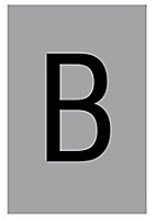 The House Nameplate Company Silver effect uPVC Self-adhesive House letter B, (H)60mm (W)40mm