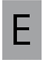 The House Nameplate Company Silver effect uPVC Self-adhesive House letter E, (H)60mm (W)40mm