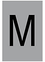 The House Nameplate Company Silver effect uPVC Self-adhesive House letter M, (H)60mm (W)40mm