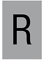 The House Nameplate Company Silver effect uPVC Self-adhesive House letter R, (H)60mm (W)40mm
