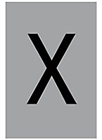 The House Nameplate Company Silver effect uPVC Self-adhesive House letter X, (H)60mm (W)40mm