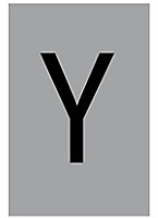The House Nameplate Company Silver effect uPVC Self-adhesive House letter Y, (H)60mm (W)40mm