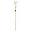 The Outdoor Living Company White Lily Garden stake (L)640mm