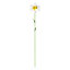 The Outdoor Living Company Yellow Daffodil Garden stake (L)640mm