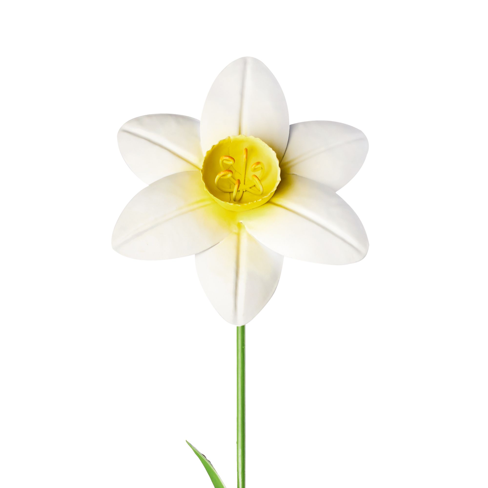 The Outdoor Living Company Yellow Daffodil Garden stake (L)640mm DIY