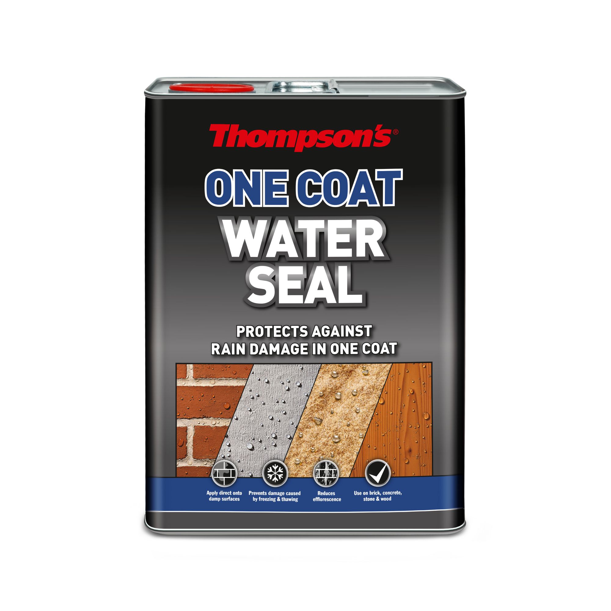 Thompsons One Coat Water-based Clear Brick, concrete & stone Multi-purpose Sealant, 5L