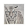 Tiger Black & white Canvas art (H)45cm x (W)45cm