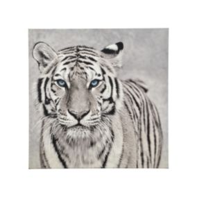 Tiger Black & white Canvas art (H)45cm x (W)45cm