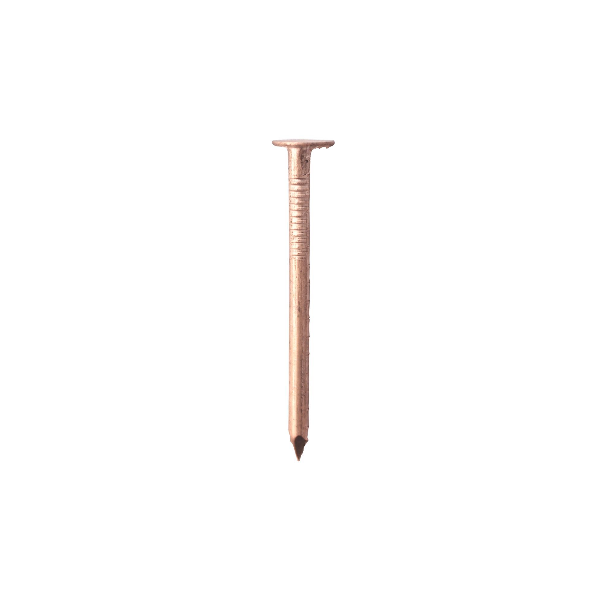 Timco Clout nail (L)30mm (Dia)2.65mm 1g