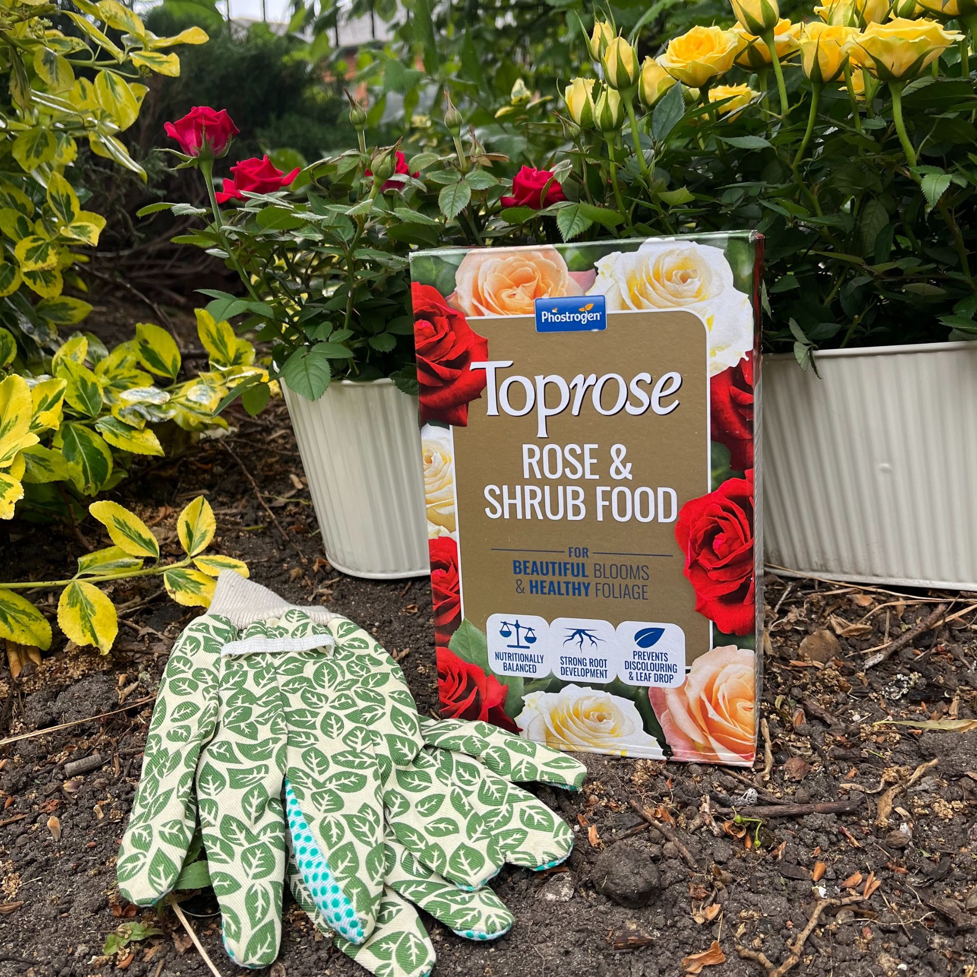 Toprose Rose & shrub Plant feed 1kg
