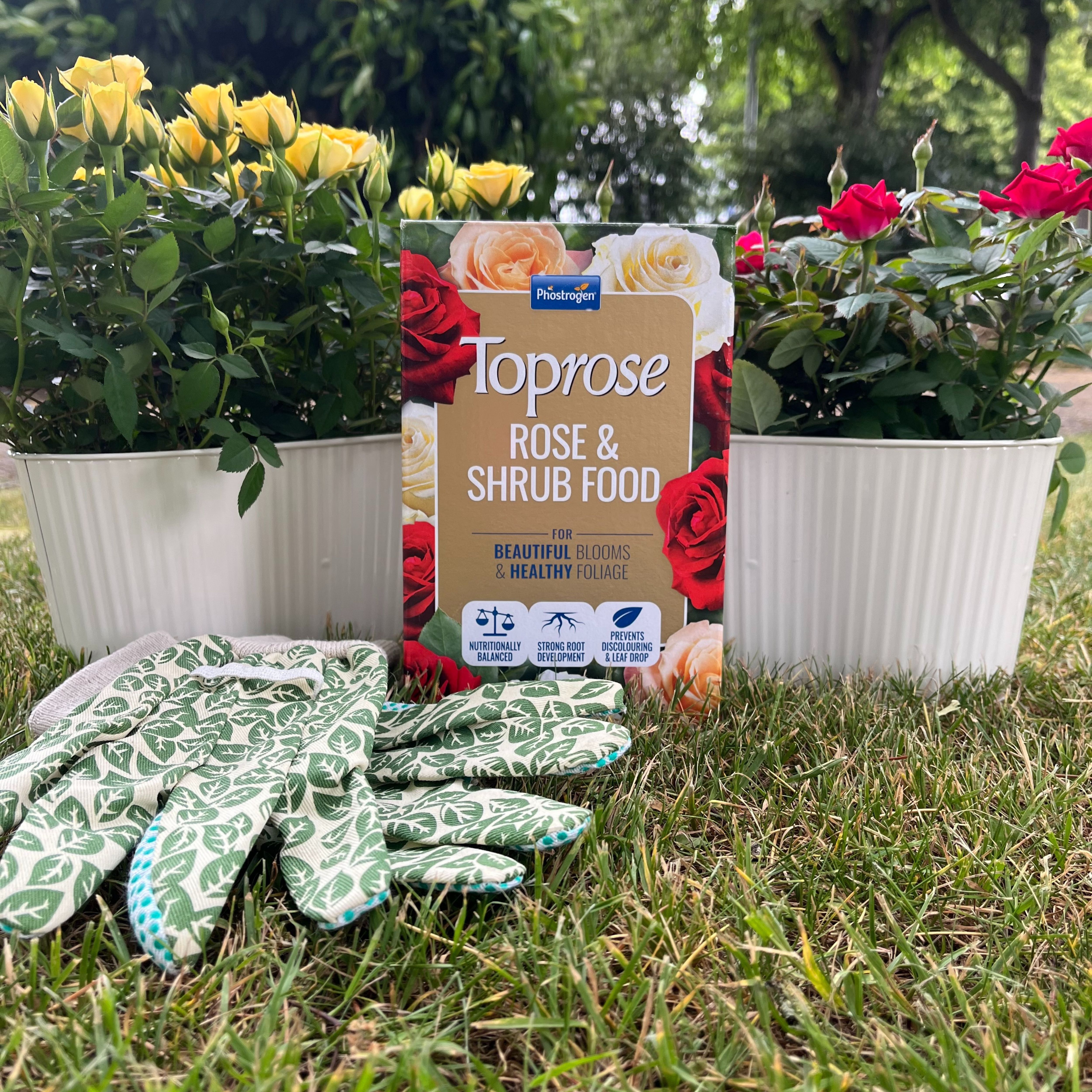 Toprose Rose & shrub Plant feed 1kg