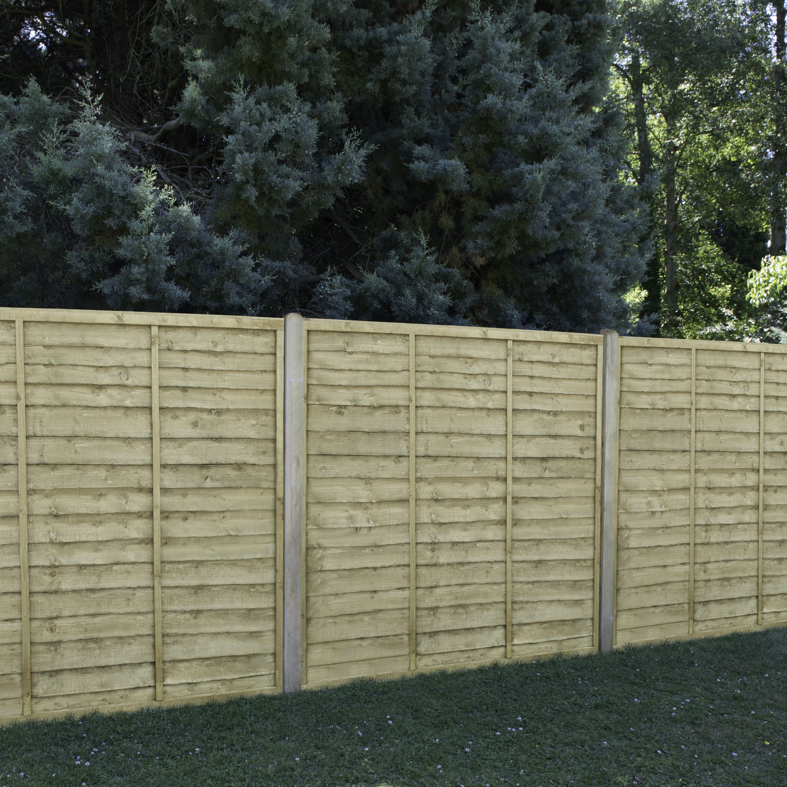 Traditional Pressure treated 6ft Green Wooden Fence panel (W)1.83m (H)1.83m, Pack of 5