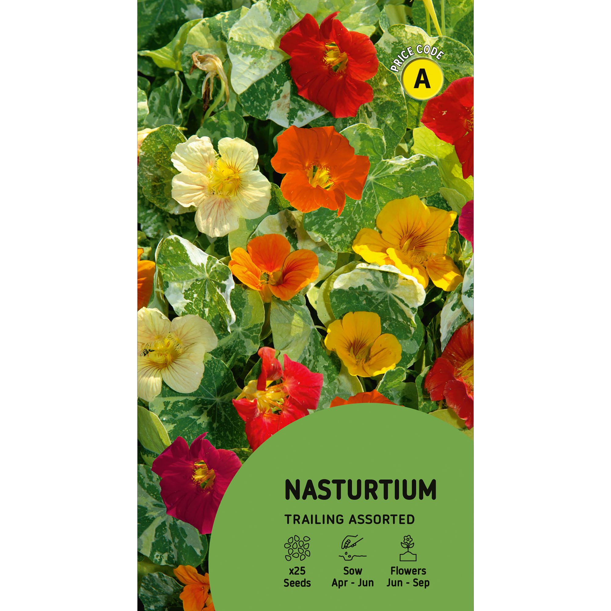Trailing Assorted Nasturtium Seeds