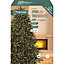 Treebright 2000 Warm white LED String lights Green cable