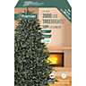 Treebrights 2000 White LED String lights Green cable