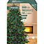 Treebrights 3000 Multicolour LED String lights Green cable