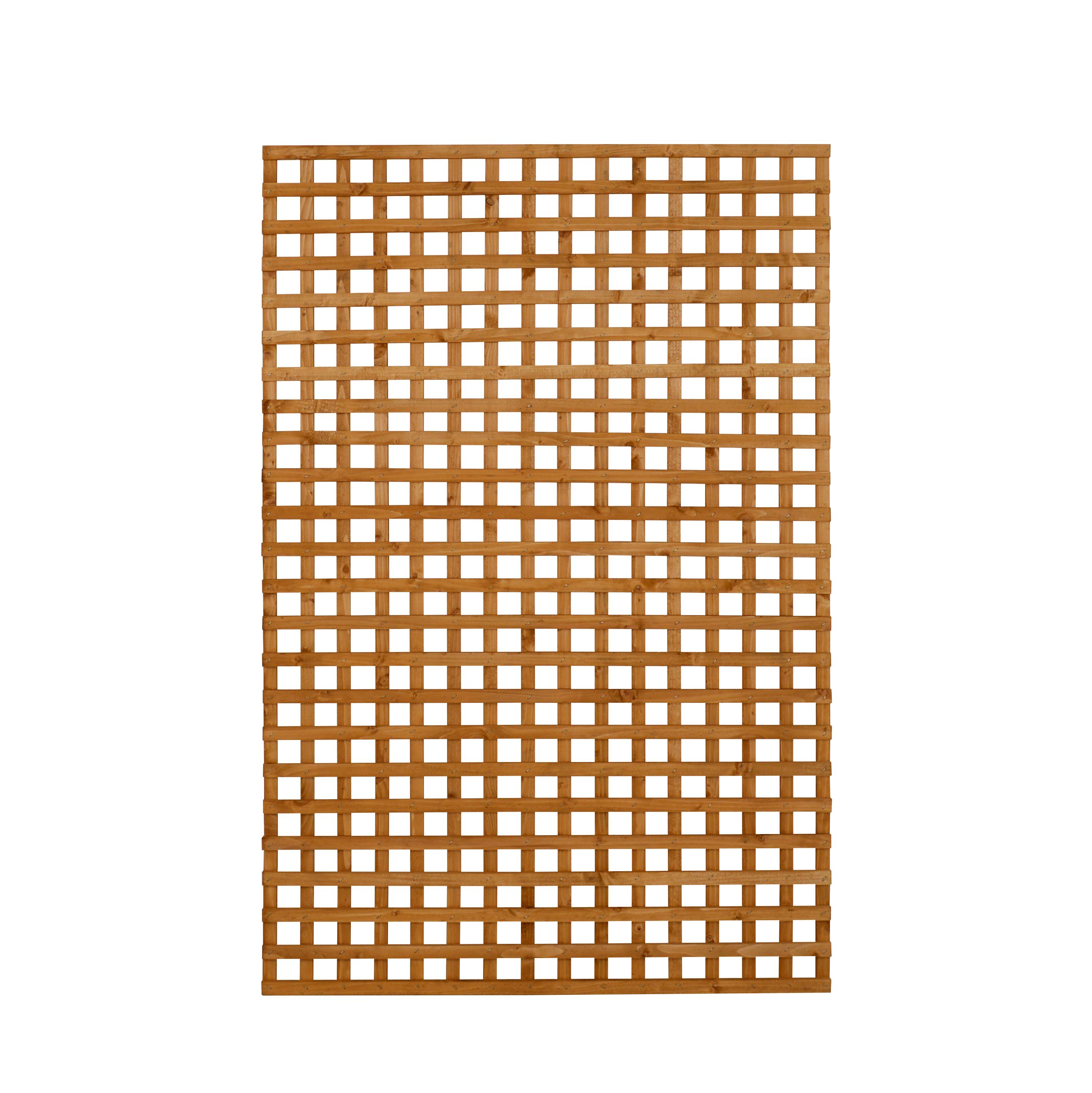 Trellis panel (W)1.22m (H)1.83m DIY at B&Q
