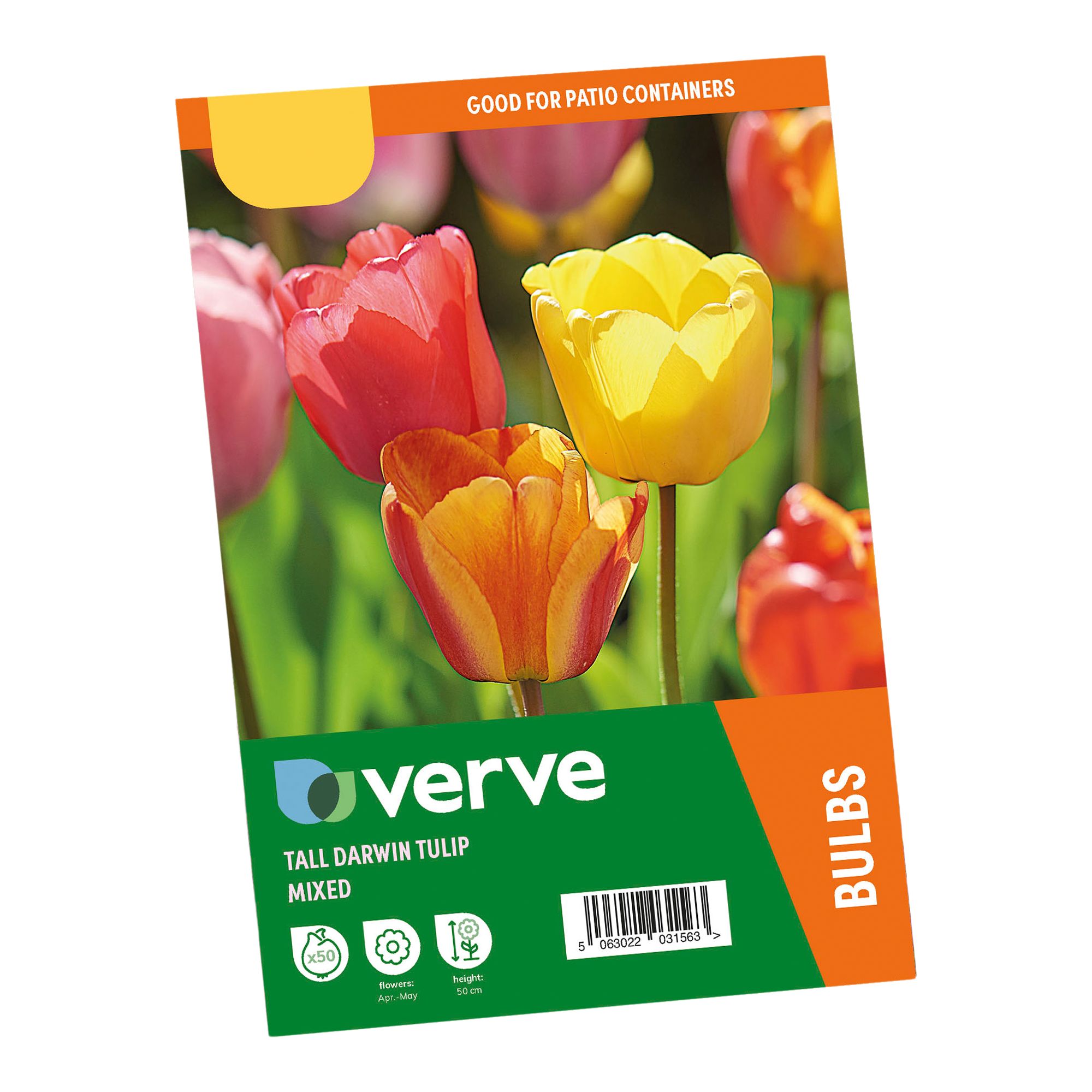 Tulip Darwin Mix 50 Flower bulbs - 3