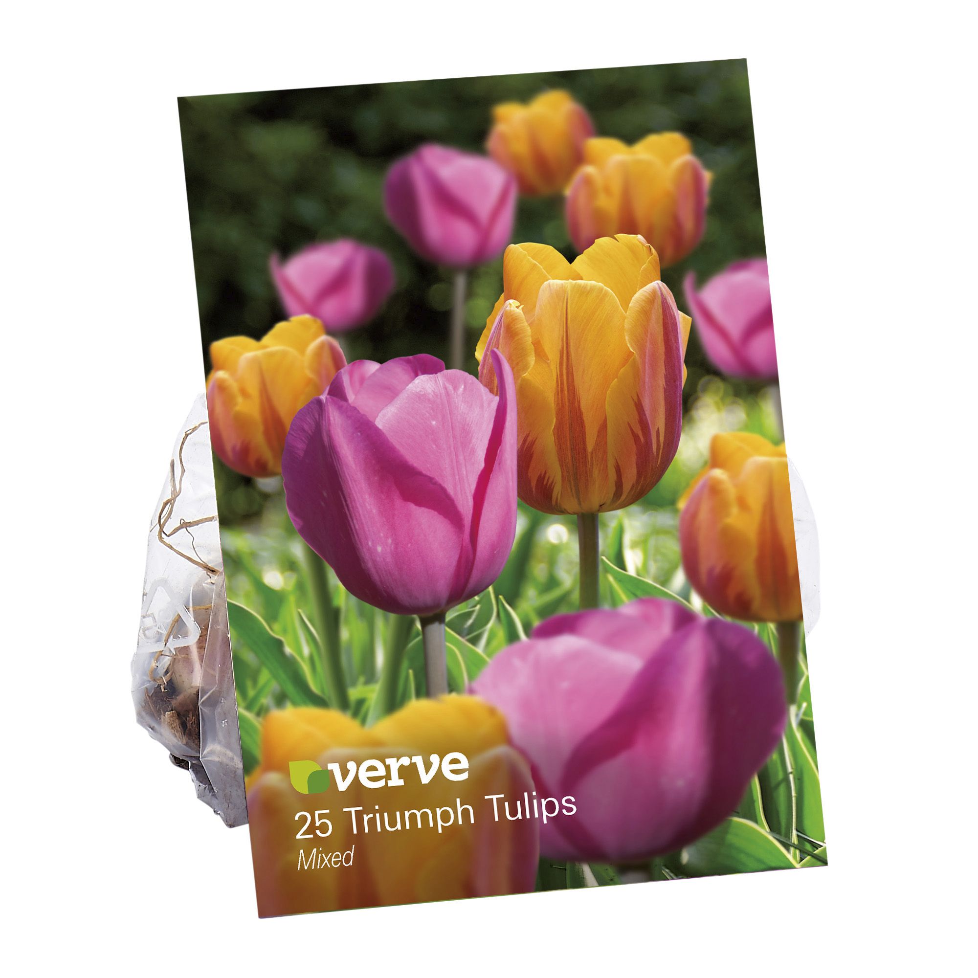 Tulip Don Quichotte & Tulip Prinses Irene 25 Flower bulbs