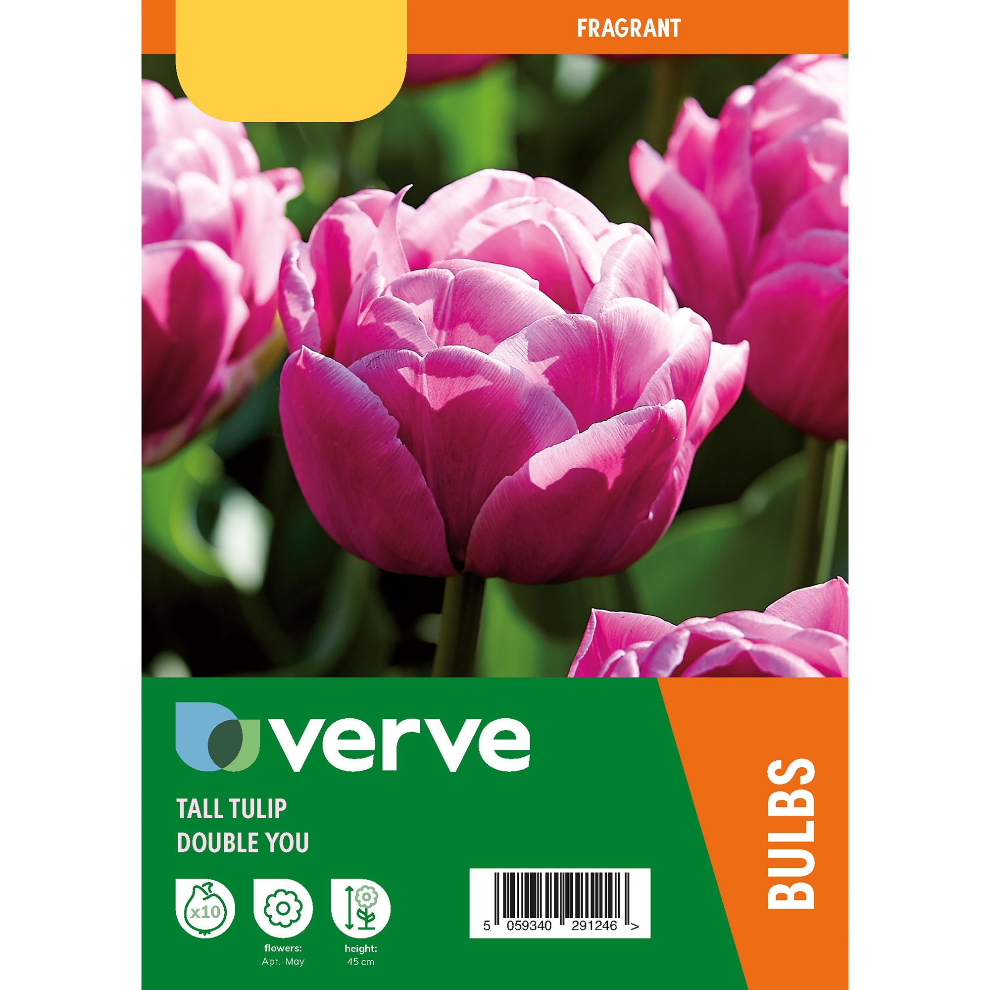 Tulip Double You 10 Flower bulbs - 4