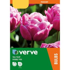 Tulip Double You 10 Flower bulbs