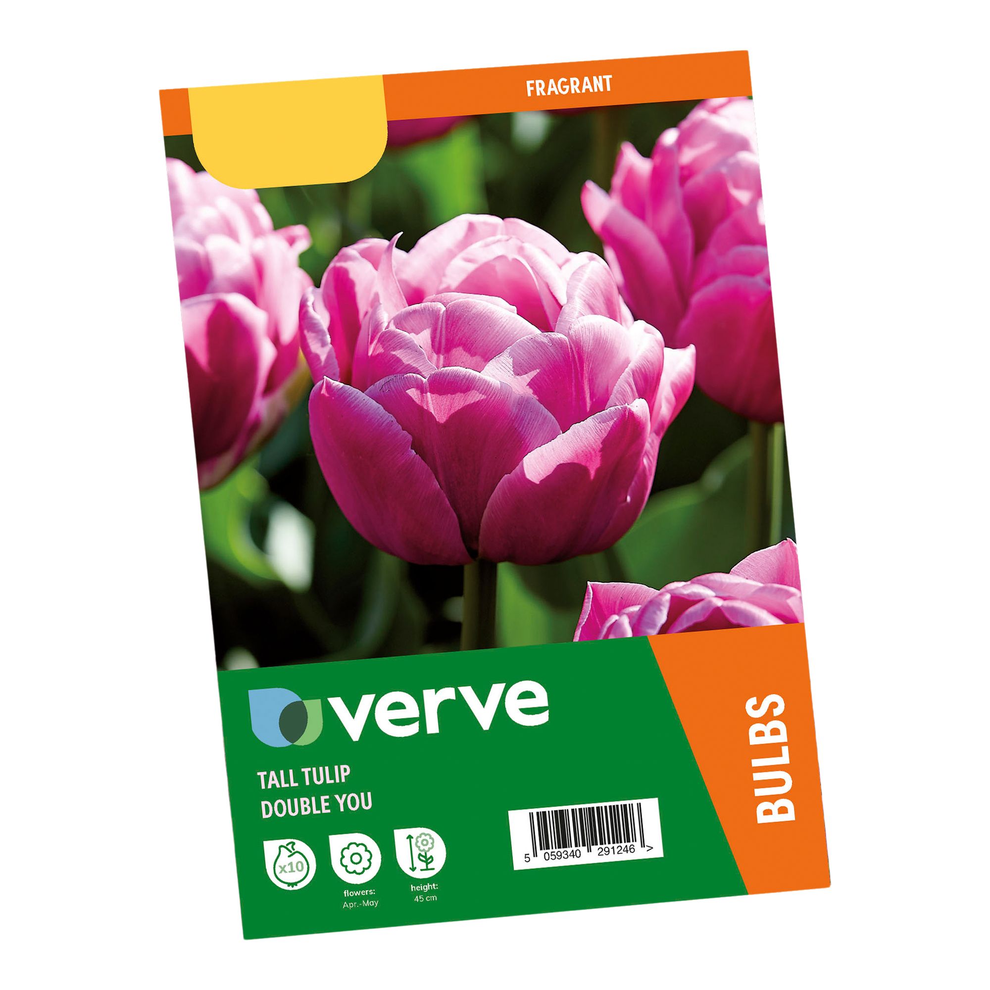 Tulip Double You 10 Flower bulbs - 3