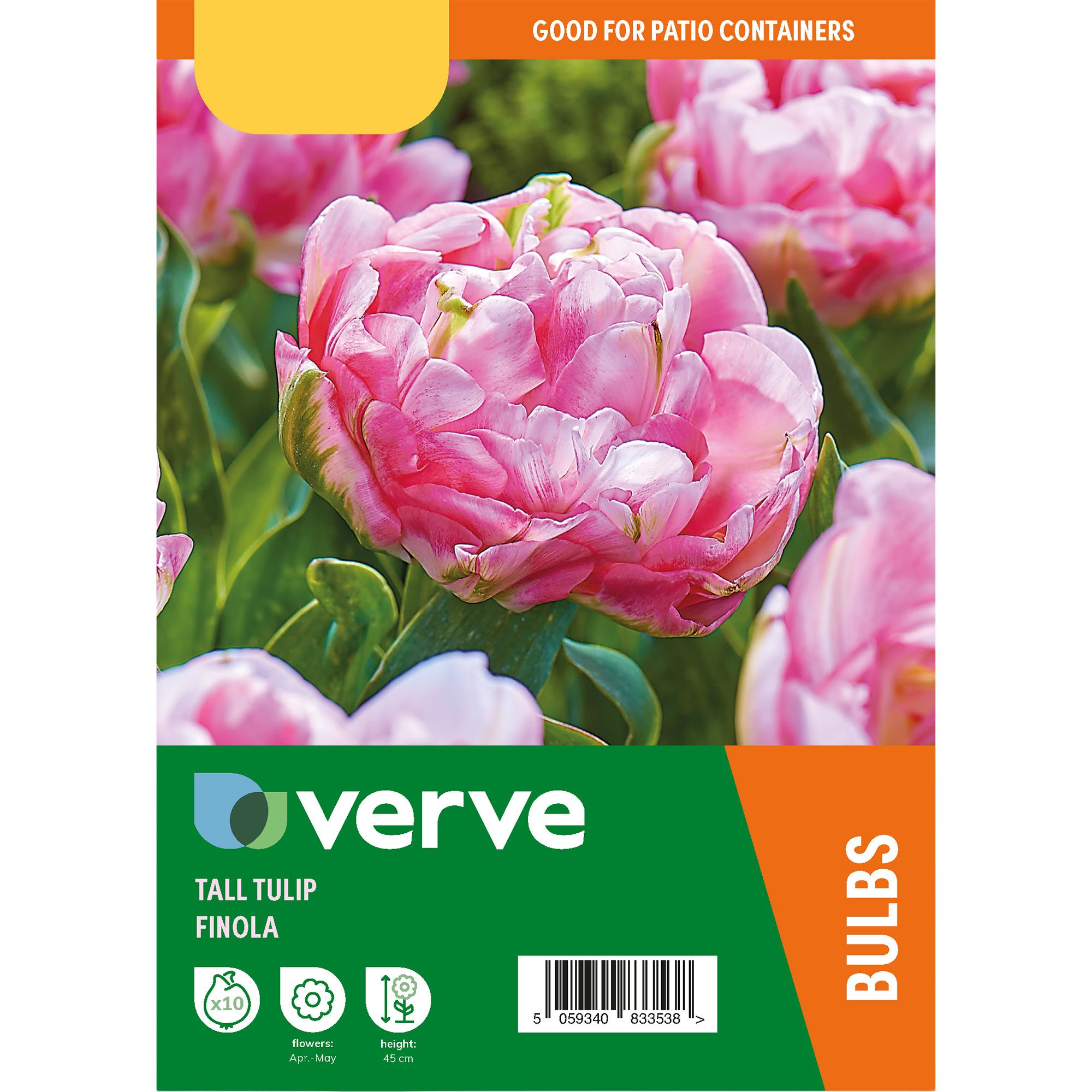 Tulip Finola Pink Flower bulb 0 | DIY at B&Q
