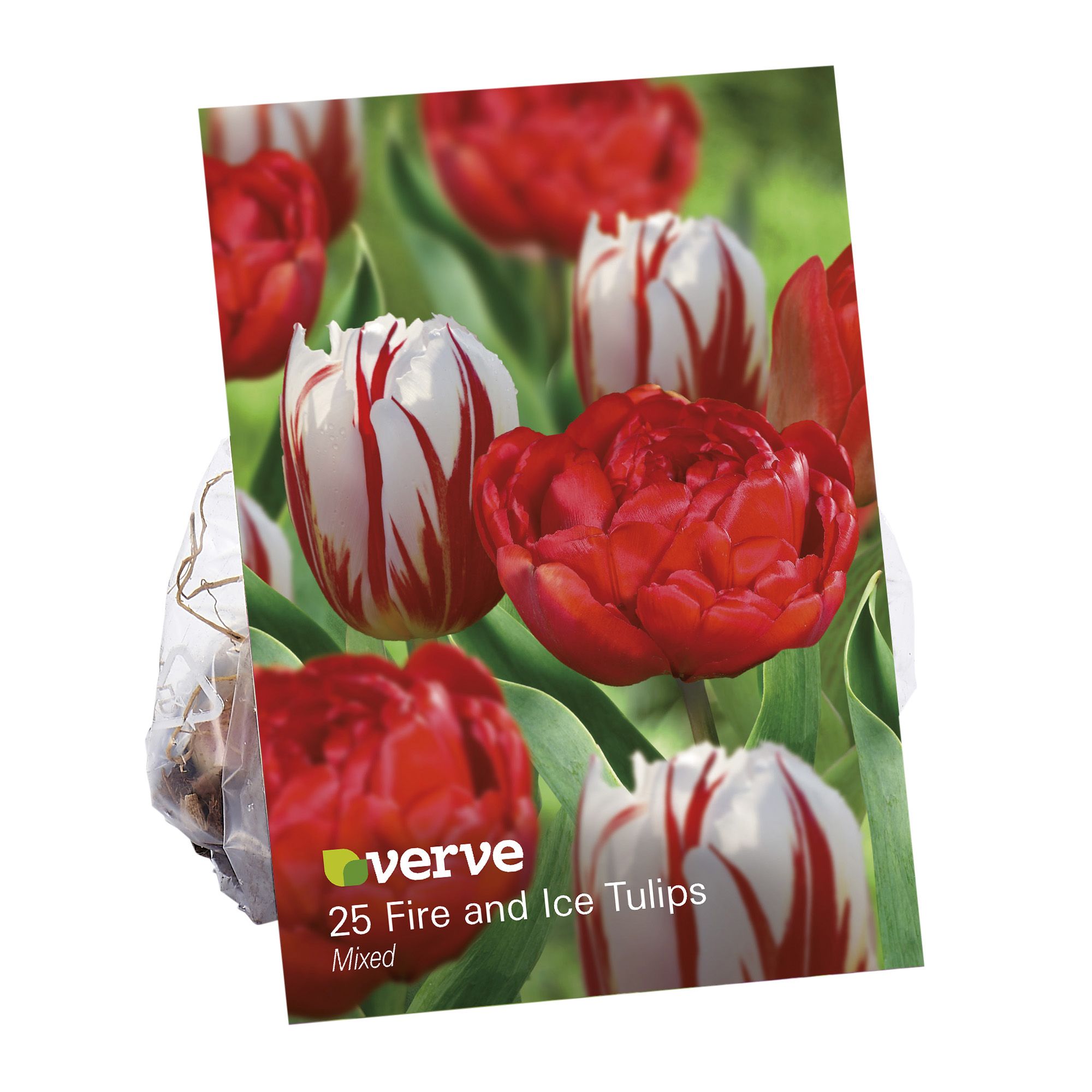 Tulip Miranda & Tulip Happy Generation 25 Flower bulbs | £5 at B&Q