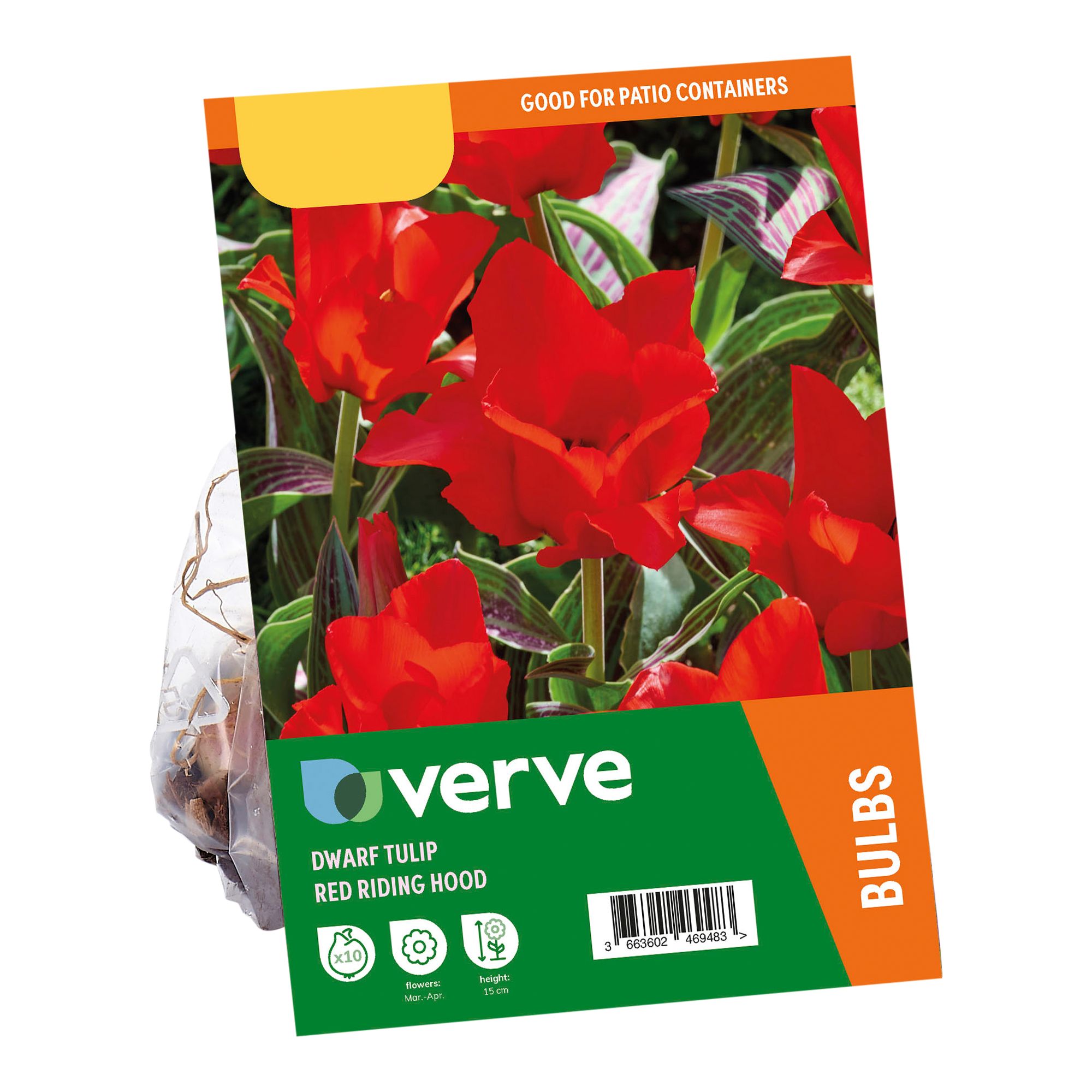 Tulip Red Riding Hood 10 Flower bulbs