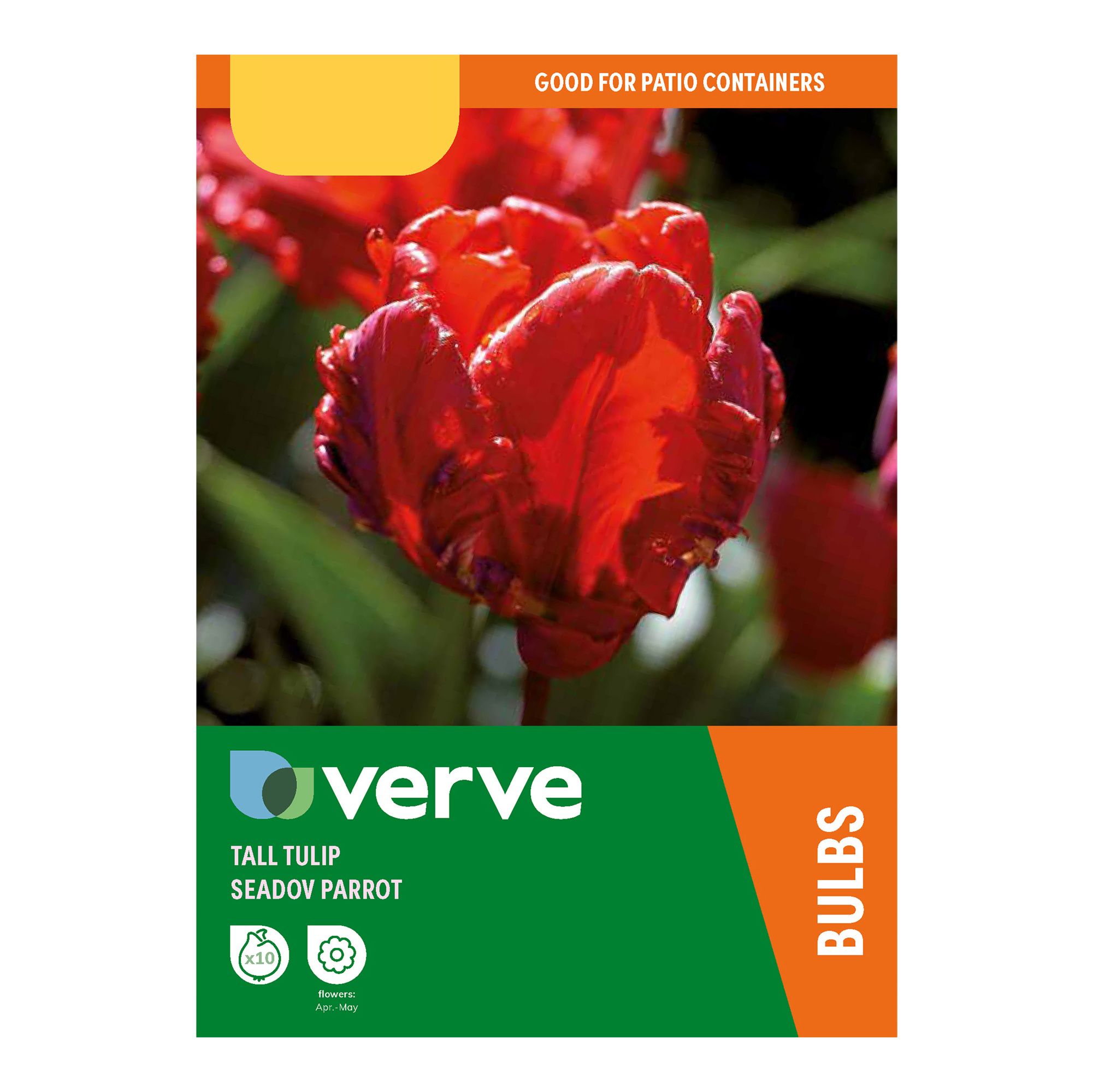 Tulip Seadov Parrot 10 Flower bulbs