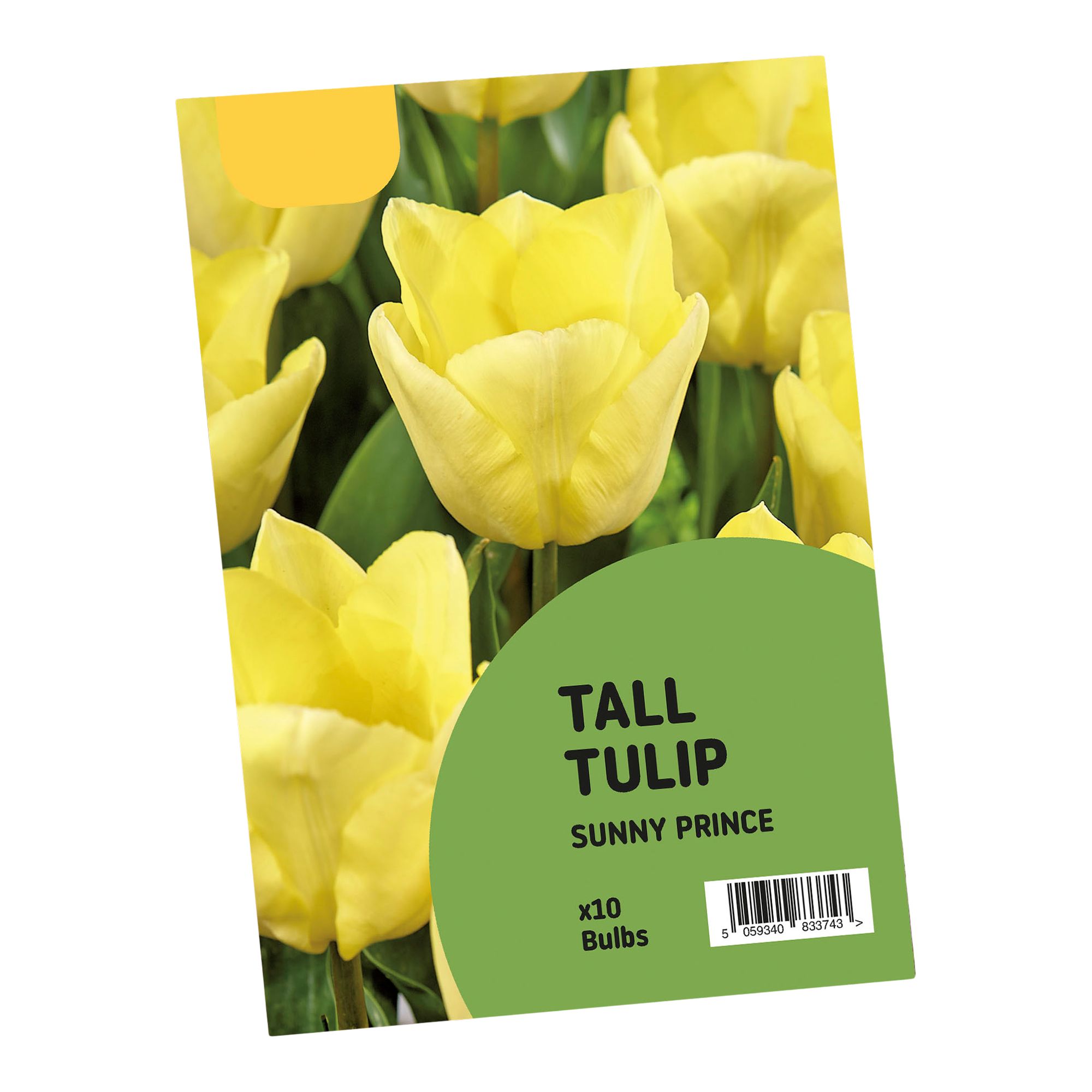 Tulip Sunny Prince 10 Flower bulbs, Tall