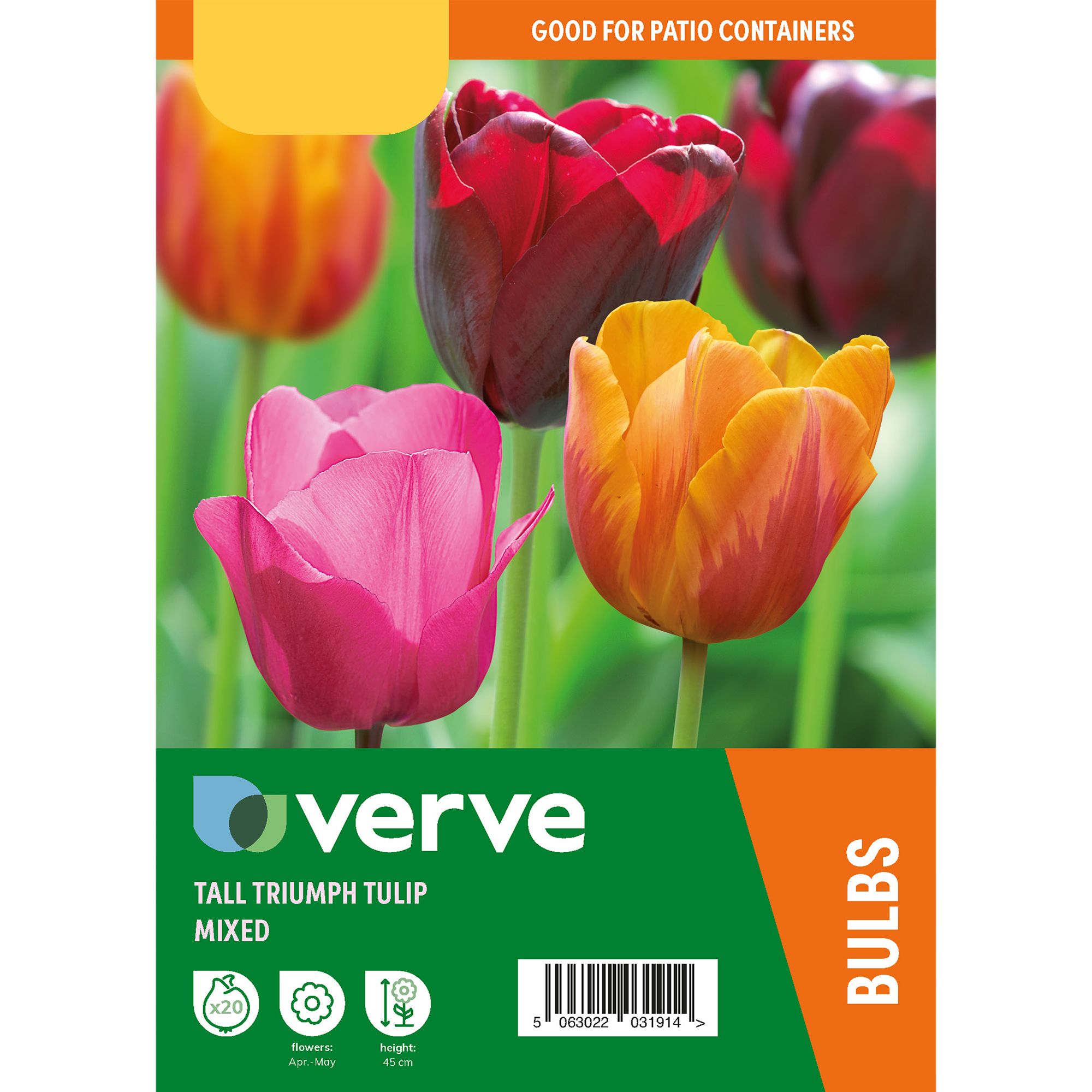 Tulip Triumph Mix Flower bulb of 20 DIY at B&Q
