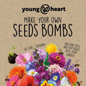Unbranded Butterfly Seed Bombs Assorted Seed