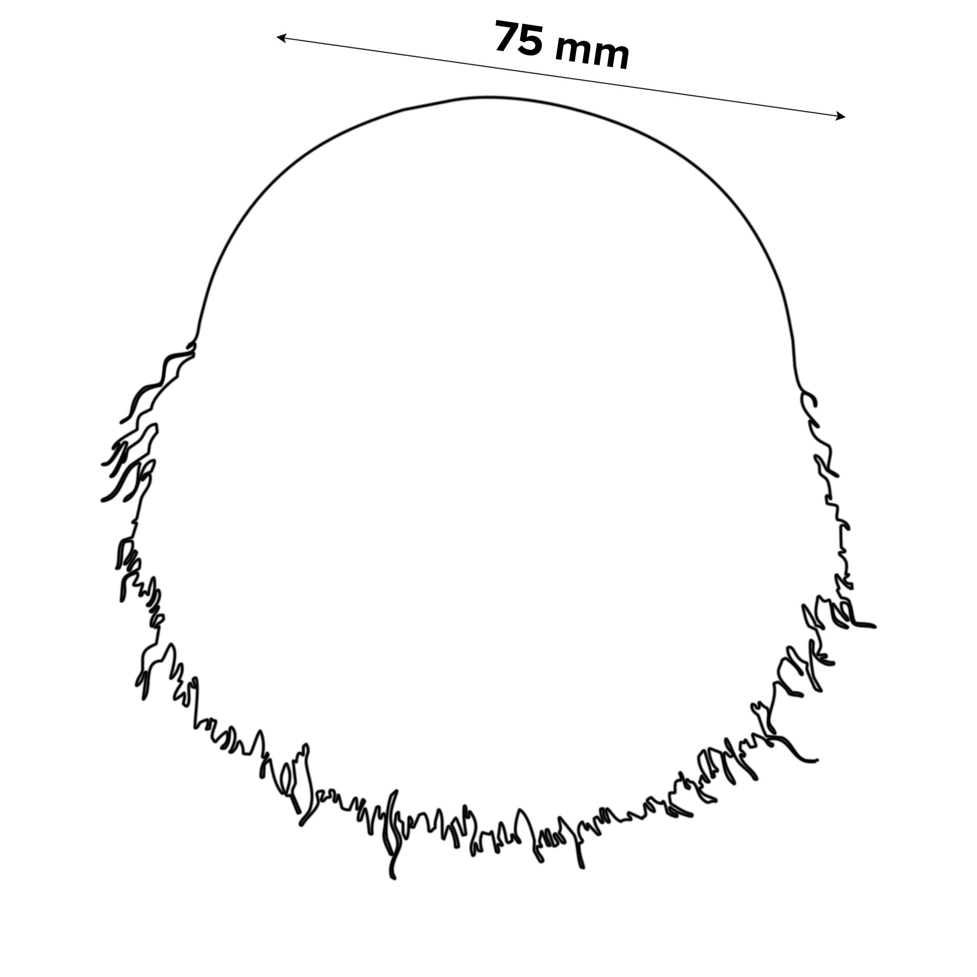 Universal Fit 75mm Wire cup brush
