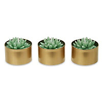 Unscented Succulent candle Small, Set of 3