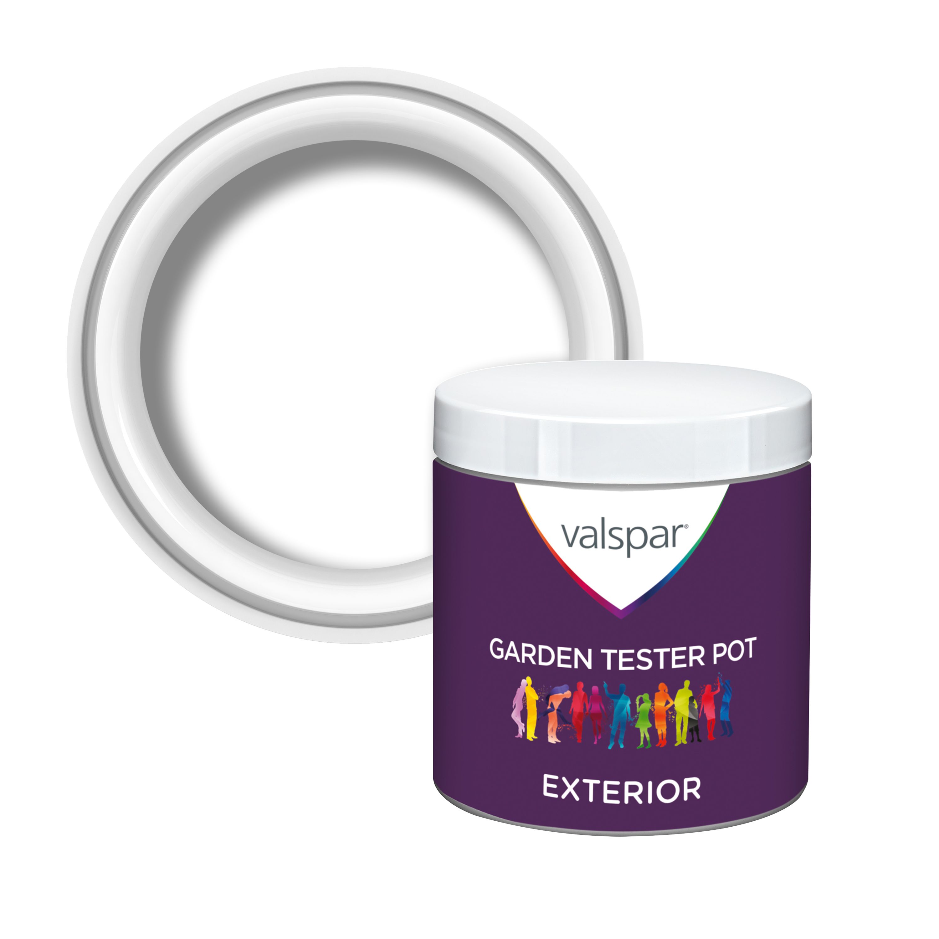 Valspar Garden Exterior Wood Mid sheen Paint & primer, 236ml Tester pot