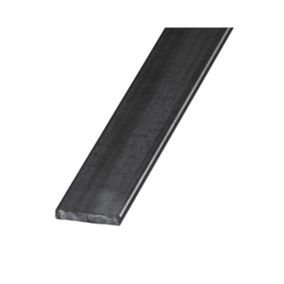 Varnished Hot-rolled steel Flat Bar, (L)2500mm (W)30mm (T)6mm
