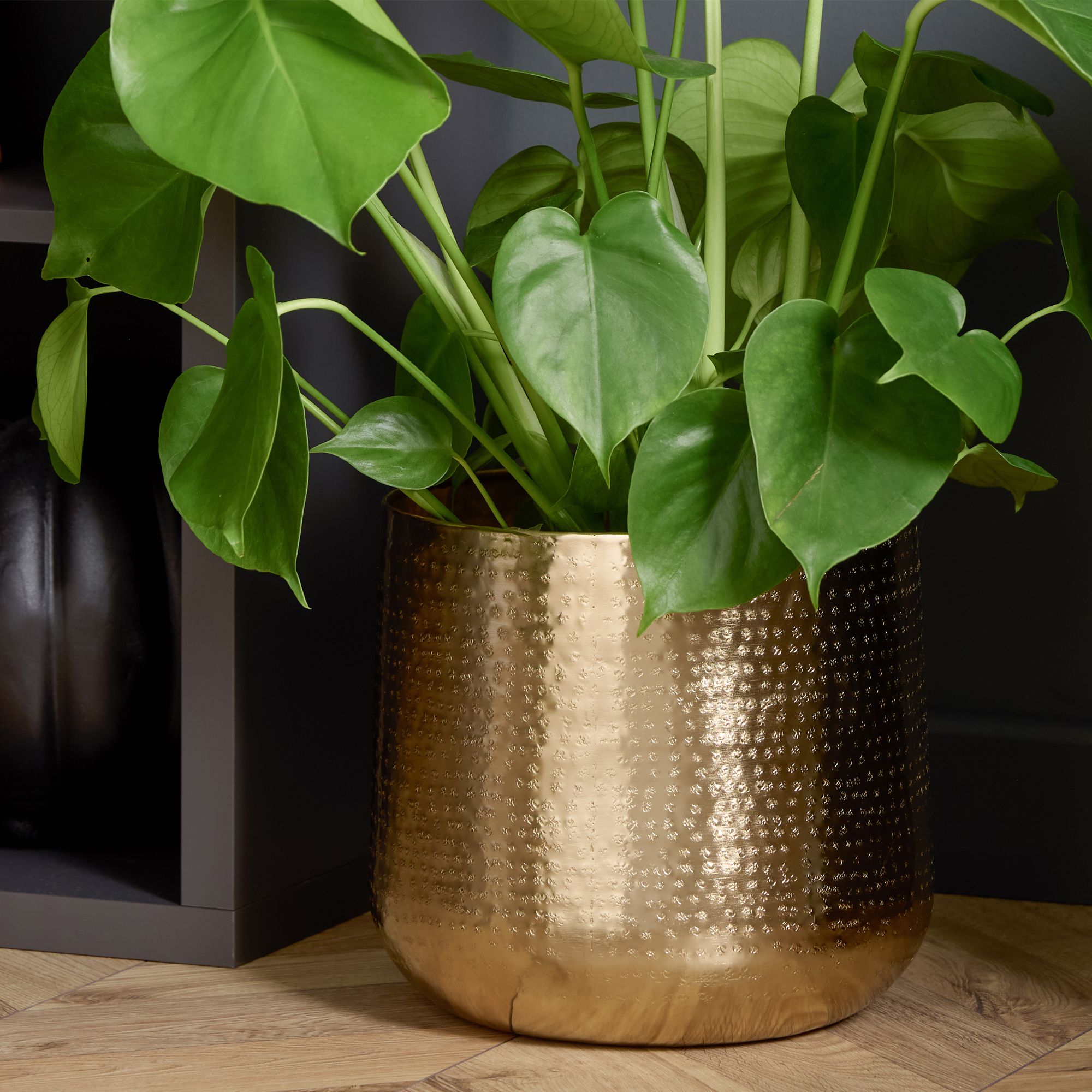 6 inch pots for indoor plants LE TAUCI 6+8+10 Inch Plant Pots Indoor, Ceramic Dot Planter Pots for P   LETAUCI