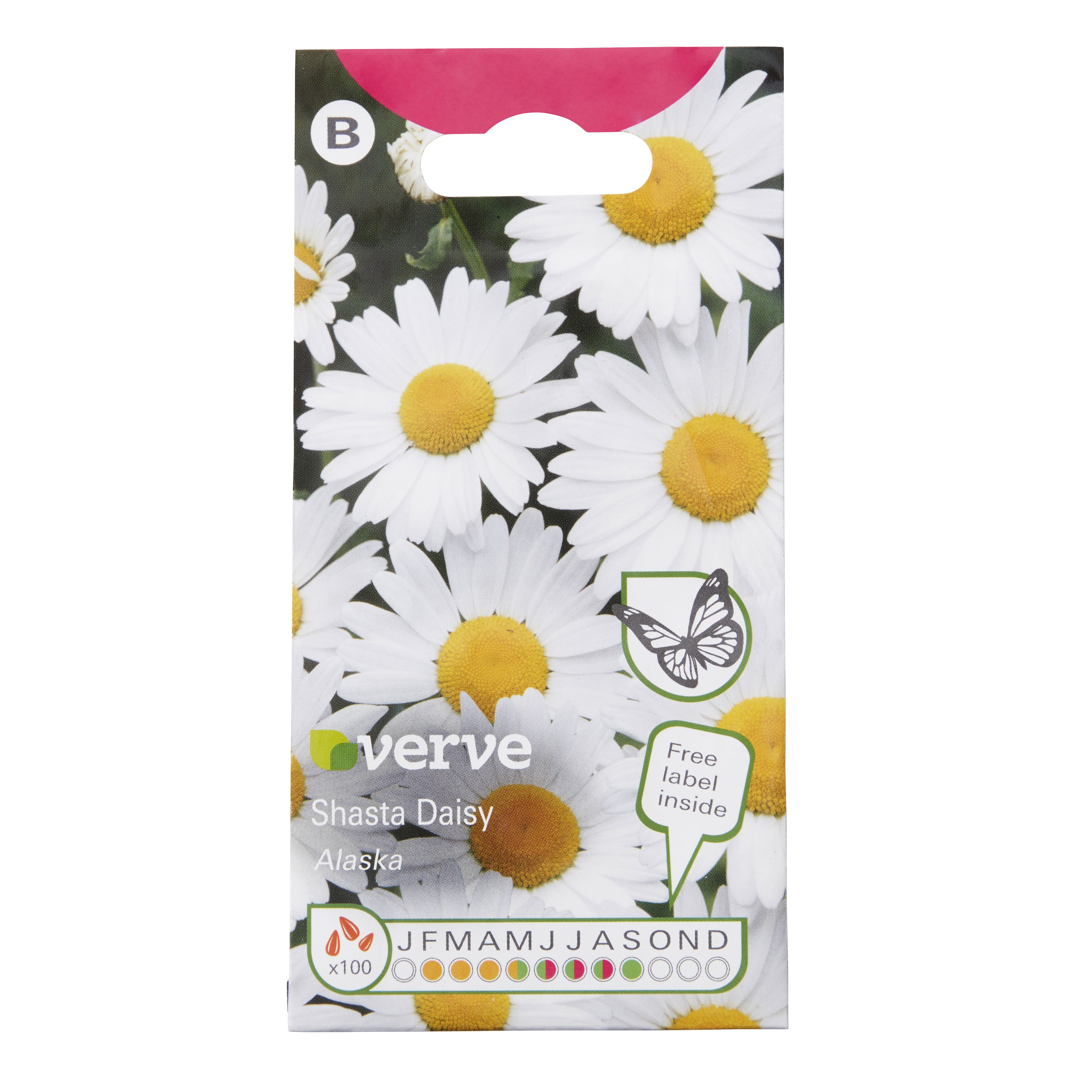 Verve Alaska Daisy Seeds