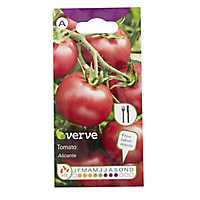 Verve Alicante tomato Seed